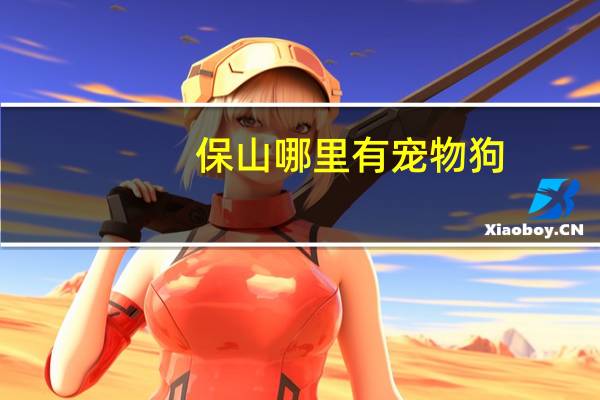 保山哪里有宠物狗