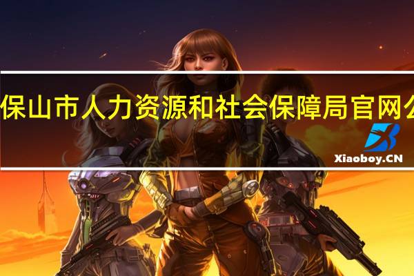 保山市人力资源和社会保障局官网公众号（保山市人力资源和社会保障局）