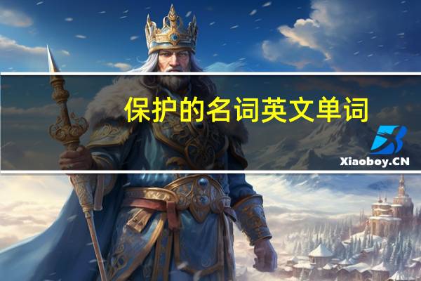保护的名词英文单词