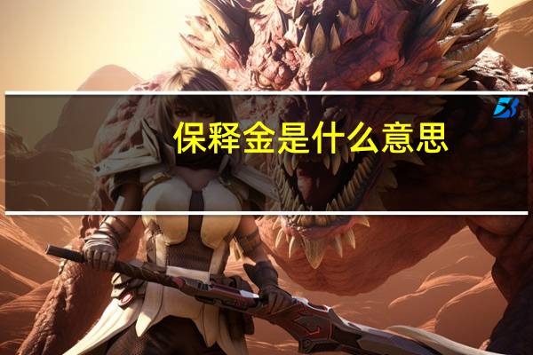 保释金是什么意思