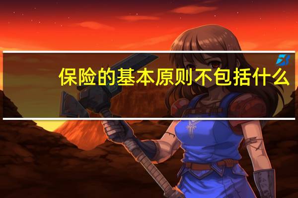 保险的基本原则不包括什么（保险的基本原则是什么）