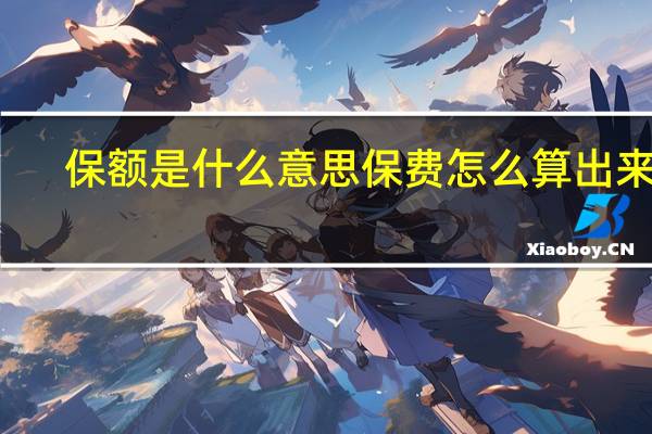 保额是什么意思保费怎么算出来的（保额是什么意思）