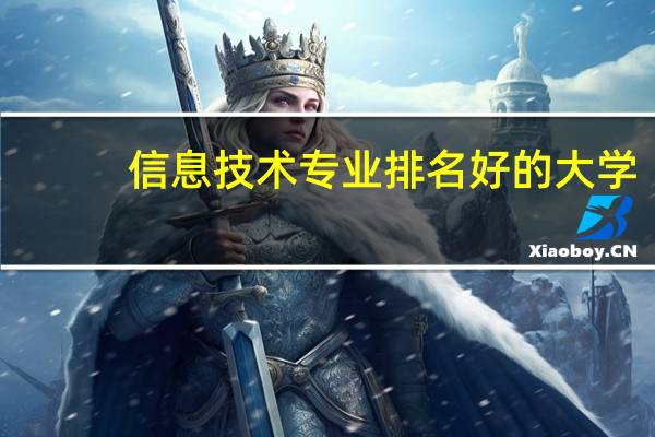 信息技术专业排名好的大学
