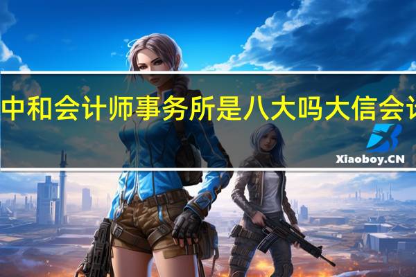 信永中和会计师事务所是八大吗 大信会计师事务所