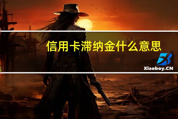 信用卡滞纳金什么意思（信用卡滞纳金）