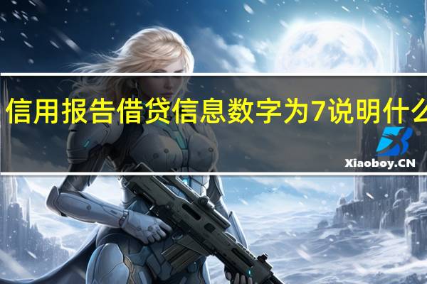 信用报告借贷信息数字为7说明什么意思（信用报告借贷信息数字为7说明什么）