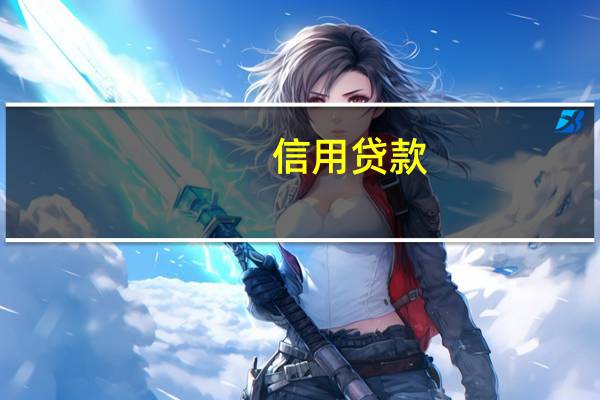 信用贷款（信用支付）