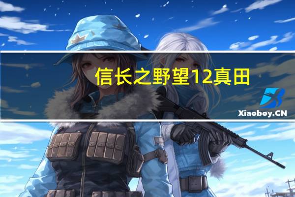 信长之野望12真田