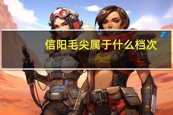 信阳毛尖属于什么档次