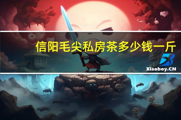 信阳毛尖私房茶多少钱一斤