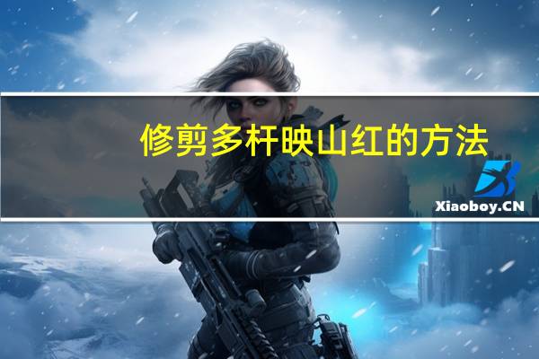 修剪多杆映山红的方法