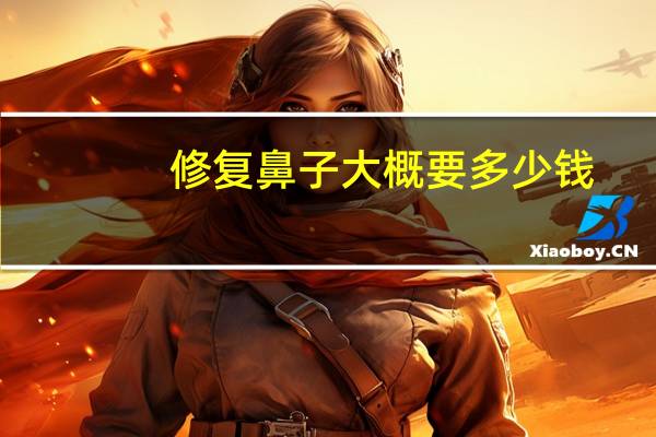 修复鼻子大概 要多少钱,做隆鼻多少钱