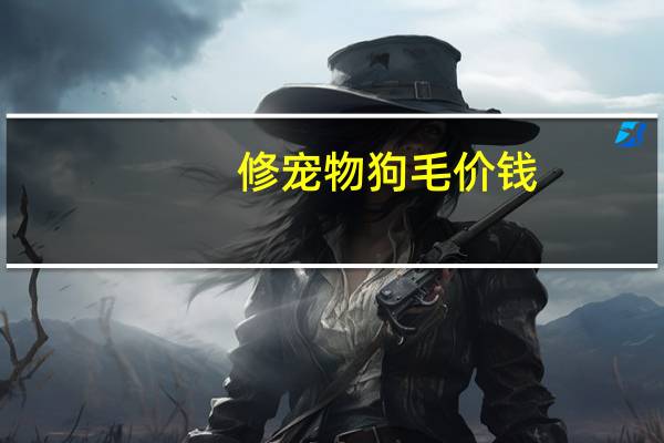 修宠物狗毛价钱