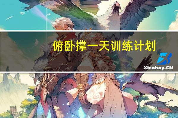 俯卧撑一天训练计划