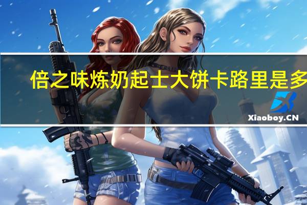 倍之味 炼奶起士大饼卡路里是多少