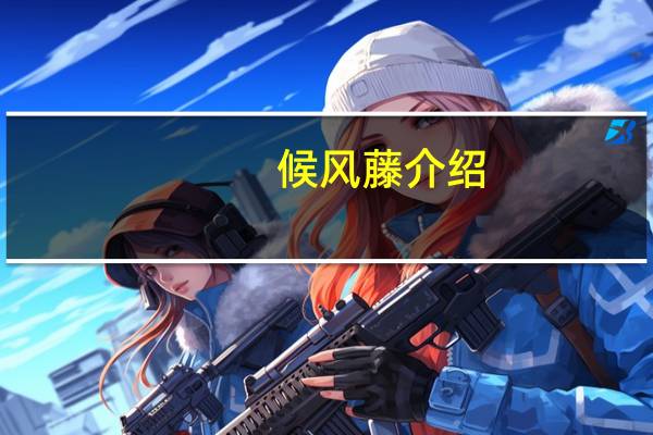 候风藤介绍