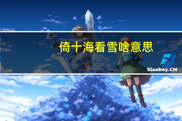 倚十海看雪啥意思