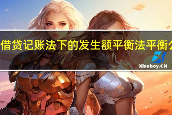 借贷记账法下的发生额平衡法平衡公式为( )
