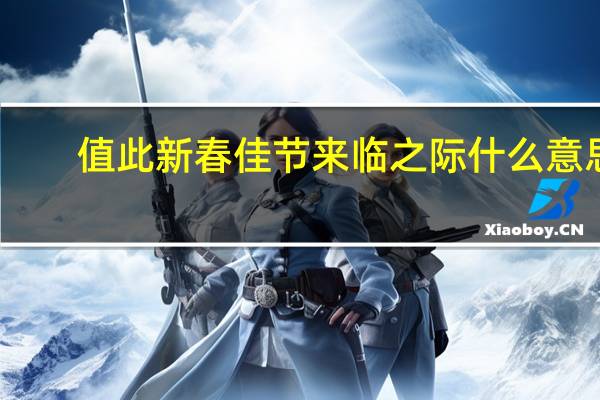 值此新春佳节来临之际什么意思