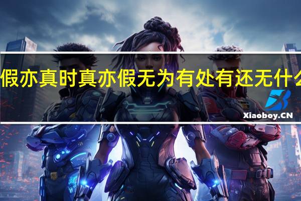 假亦真时真亦假无为有处有还无什么意思
