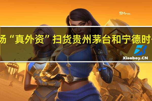 假外资离场“真外资”扫货贵州茅台和宁德时代等龙头被爆买