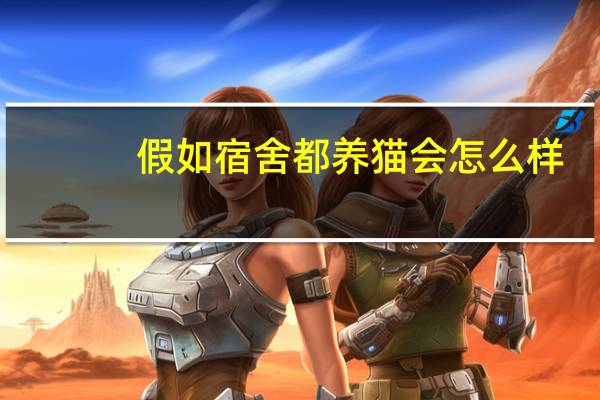 假如宿舍都养猫会怎么样