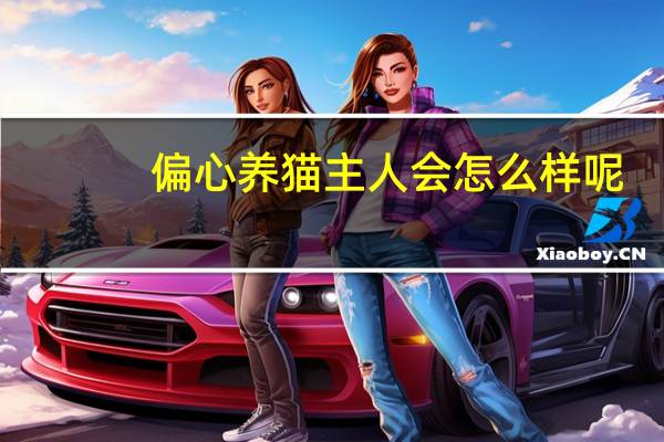 偏心养猫主人会怎么样呢