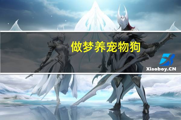做梦养宠物狗