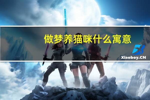 做梦养猫咪什么寓意