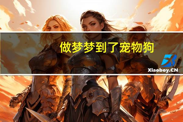 做梦梦到了宠物狗