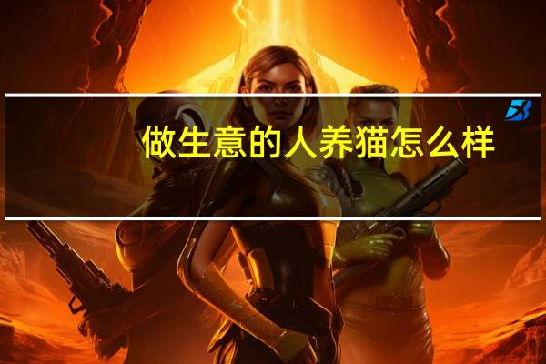 做生意的人养猫怎么样