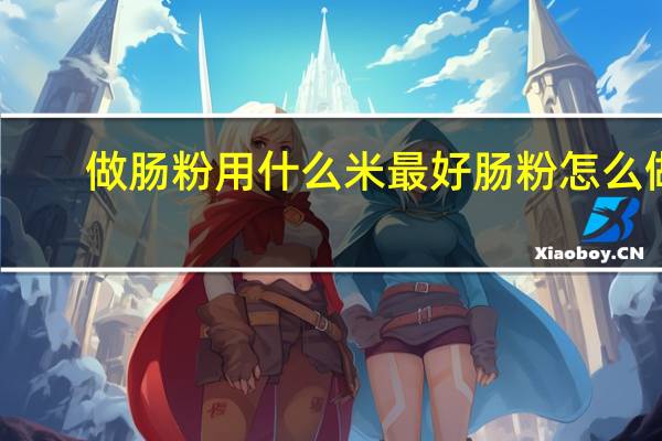 做肠粉用什么米最好 肠粉怎么做