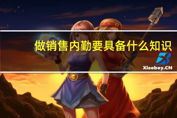 做销售内勤要具备什么知识，技能，经验