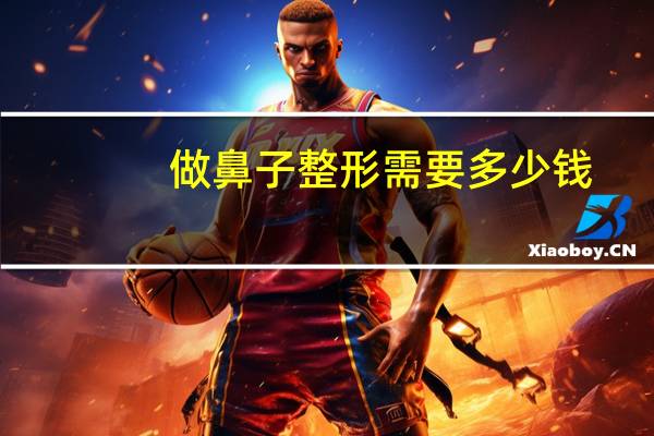 做鼻子整形需要多少钱(整形鼻子需要多少钱)