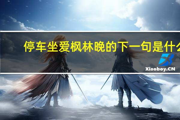 停车坐爱枫林晚的下一句是什么