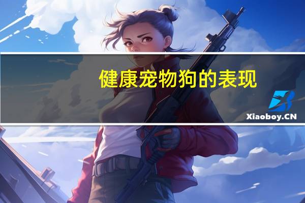 健康宠物狗的表现