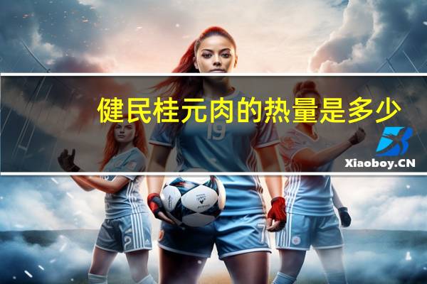 健民 桂元肉的热量是多少