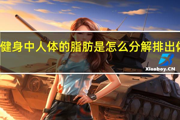 健身中人体的脂肪是怎么分解排出体外的？