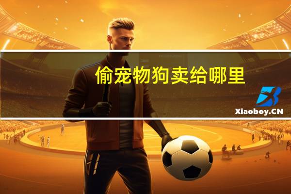 偷宠物狗卖给哪里