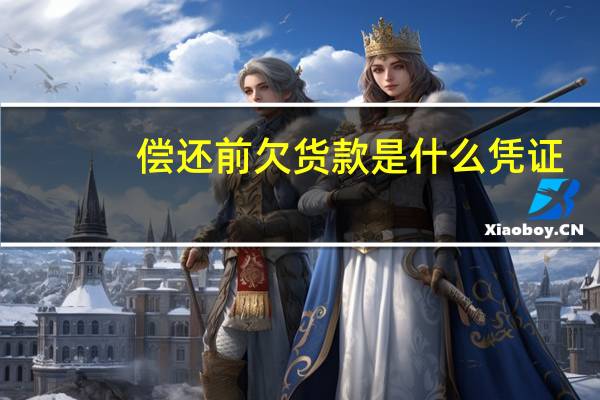 偿还前欠货款是什么凭证