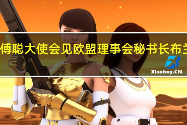 傅聪大使会见欧盟理事会秘书长布兰切特