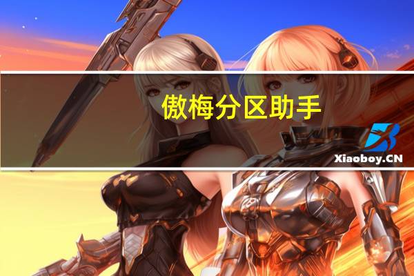 傲梅分区助手（分区洗护简介）