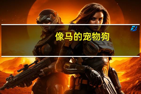 像马的宠物狗