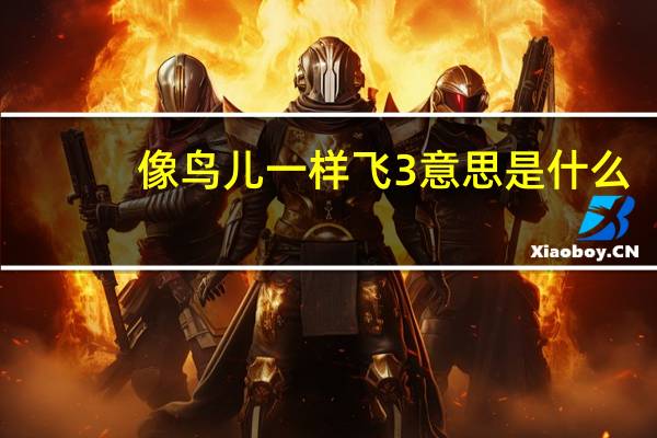 像鸟儿一样飞3意思是什么