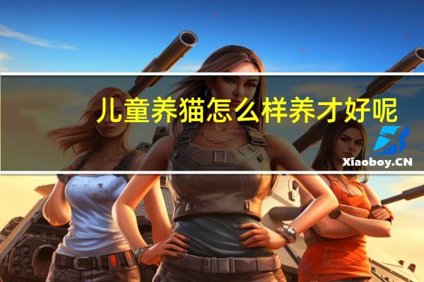 儿童养猫怎么样养才好呢