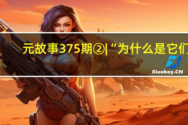 元故事 375期② | “为什么是它们”？ 到底什么情况嘞