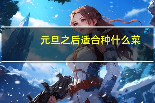 元旦之后适合种什么菜