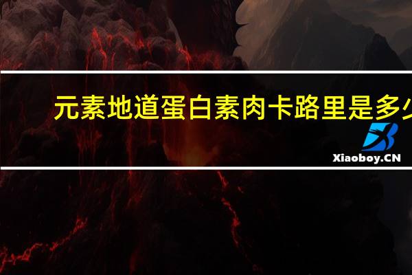 元素地道 蛋白素肉卡路里是多少