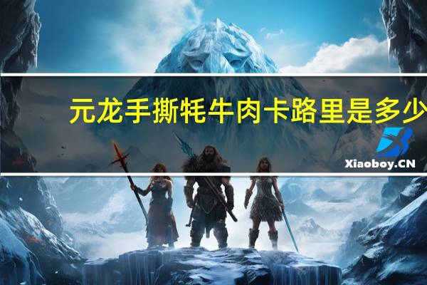 元龙手撕牦牛肉卡路里是多少