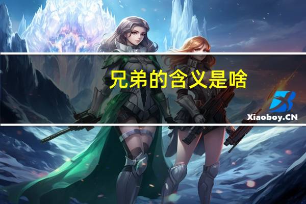 兄弟的含义是啥